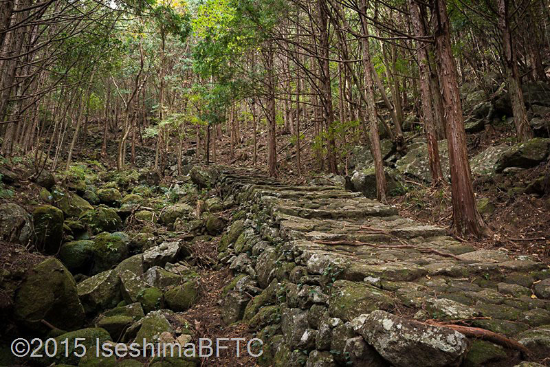 Kumano Kodo (Matsumoto-Toge)