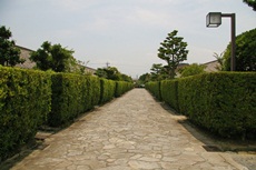 道路からみた御城番屋敷の写真